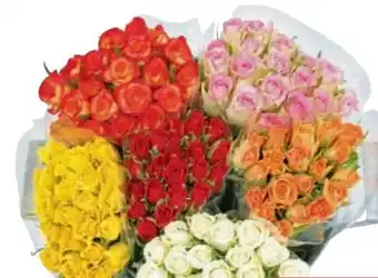 Metro Rosen Bund Angebot
