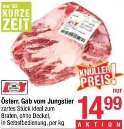 Maximarkt Gab vom Jungstier Angebot