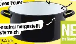 Maximarkt Kasserrolle Angebot