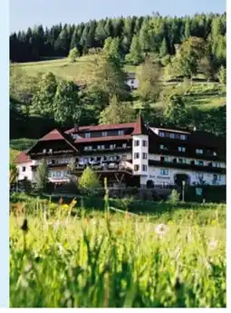 Hofer Reisen Hofer-Reisen Steiermark-Murtal-Krakaudorf Angebot