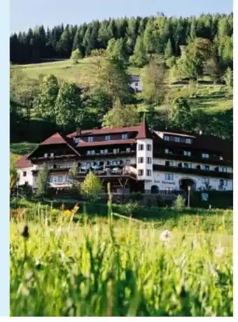 Hofer Reisen Hofer-Reisen Steiermark-Murtal-Krakaudorf Angebot