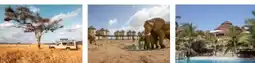 Lidl Reisen Lidl-Reisen Kenia-Safari-Baden Angebot