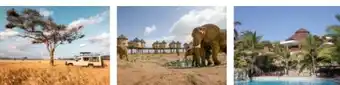 Lidl Reisen Lidl-Reisen Kenia-Safari-Baden Angebot