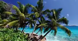 Lidl Reisen Lidl-Reisen Seychellen-Segelkreuzfahrt-Baden Angebot