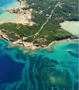 Lidl Reisen Lidl-Reisen Kroatien-Insel Rab Angebot