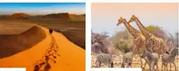 Lidl Reisen Lidl-Reisen Namibia-Rundreise Angebot