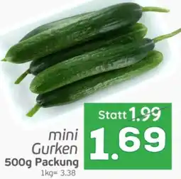 ETSAN mini Gurken Angebot