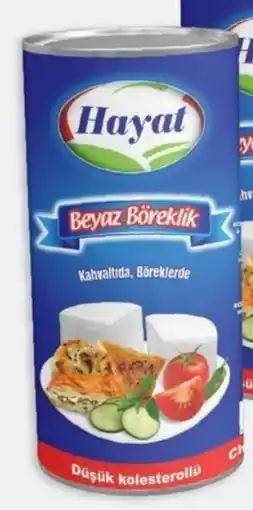 ETSAN Hayat Beyaz Kombi Angebot