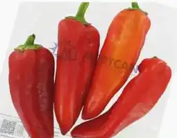 ETSAN Paprika Kapya Angebot