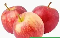 ETSAN Äpfel Gala Angebot