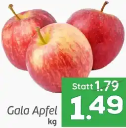 ETSAN Gala Apfel Angebot