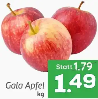 ETSAN Gala Apfel Angebot