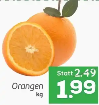 ETSAN Orangen Angebot
