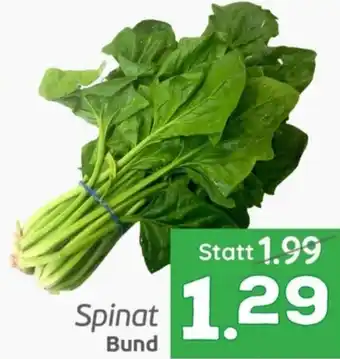 ETSAN Spinat Bund Angebot