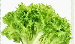 ETSAN Salat Grazer Angebot