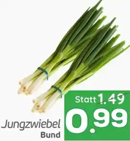 ETSAN Jungzwiebel Angebot