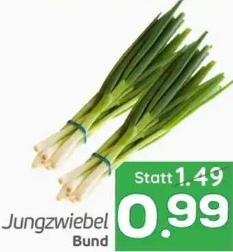 ETSAN Jungzwiebel Angebot