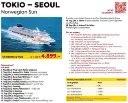 Billa Reisen Tokio - seoul norwegian sun Angebot