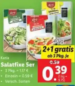 Lidl Salatfixe Angebot