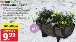 Lidl Pflanzkübel Fass Angebot