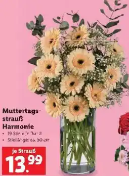 Lidl Muttertags- strauß Harmonie Angebot
