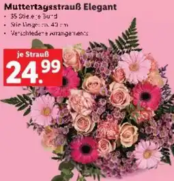 Lidl Muttertagsstrauß Elegant Angebot