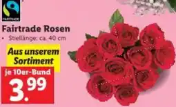 Lidl Fairtrade Rosen Angebot