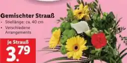 Lidl Gemischter Strauß Angebot