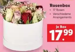 Lidl Rosenbox Angebot