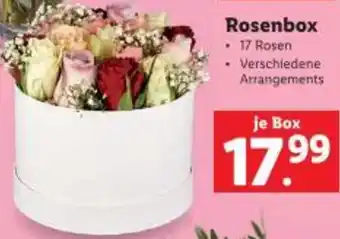 Lidl Rosenbox Angebot