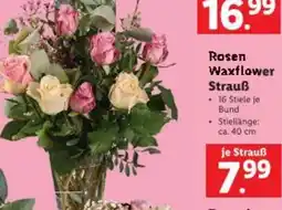 Lidl Rosen Waxflower Strauß Angebot