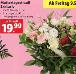 Lidl Muttertagsstrauß Exklusiv Angebot