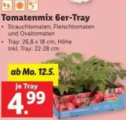 Lidl Tomatenmix Angebot