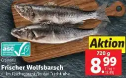 Lidl Frischer Wolfsbarsch Angebot