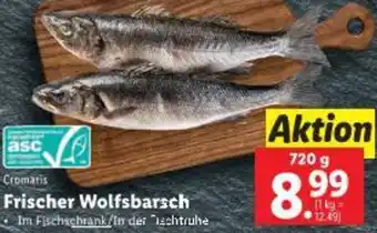 Lidl Frischer Wolfsbarsch Angebot