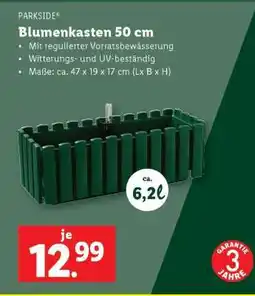 Lidl Blumenkasten 50 cm Angebot
