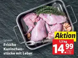 Lidl Tetrabbit Angebot