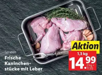 Lidl Tetrabbit Angebot