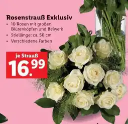 Lidl Rosenstrauß Exklusiv Angebot