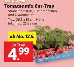 Lidl Tomatenmix 6er-Tray Angebot