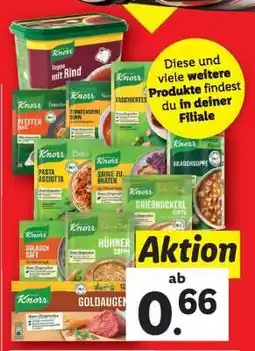 Lidl KNORR Angebot