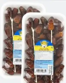 ETSAN Datcha Datteln Angebot