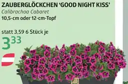 Bellaflora Zauberglöckchen good night kiss Angebot