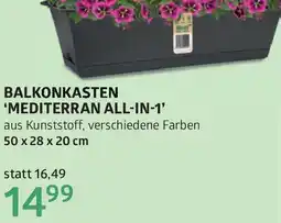 Bellaflora Balkonkasten mediterran all-in-1 Angebot
