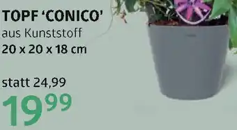 Bellaflora Topf conico Angebot