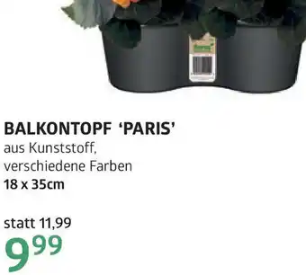 Bellaflora Balkontopf paris Angebot