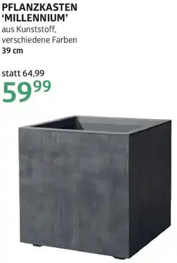 Bellaflora Pflanzkasten millennium Angebot