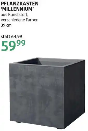Bellaflora Pflanzkasten millennium Angebot