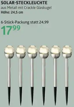 Bellaflora Solar-steckleuchte Angebot