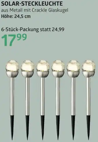 Bellaflora Solar-steckleuchte Angebot